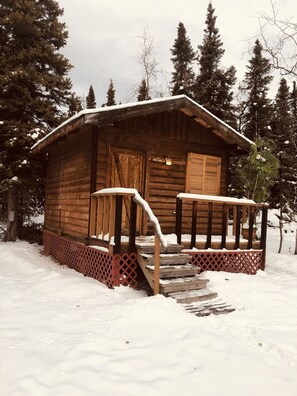 Exteriör