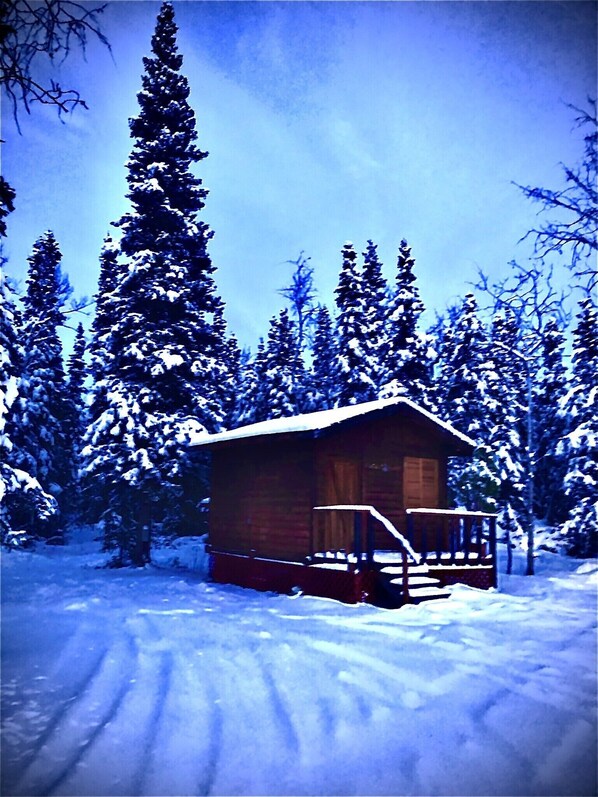 Exteriör