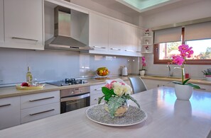 Elena Luxury Suite Agios Stefanos Kitchen