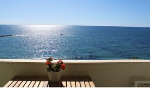 Amazing panoramic view from the Beach front terrace 