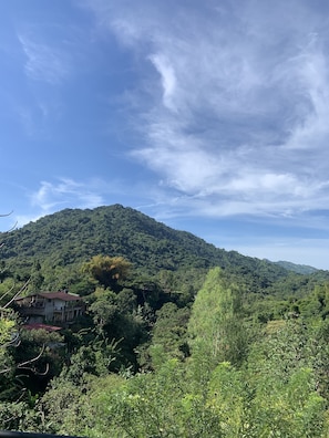 Vistas desde el alojamiento
