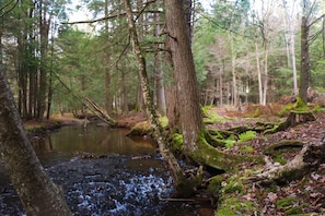 In summer, enjoy wading in the 20-foot wide stream located on the property. 