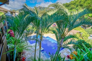 Pool in a lush tropical setting.