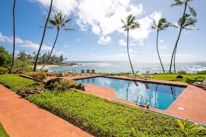 Ocean Front Pool and Garden Area