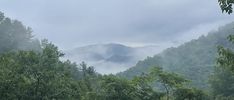 View from the patio