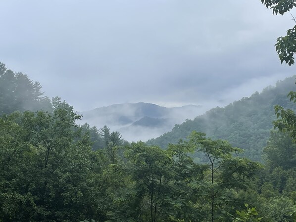 View from the patio