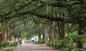 Visit Historic Savannah!