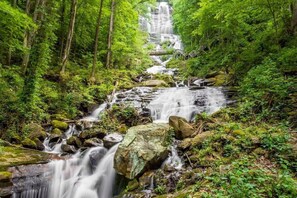 Amicolola Falls is the largest waterfall in GA at 729 ft. high.  We are less than 10 minutes away!