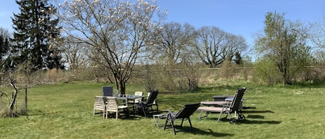 Die Liegewiese mit Tulpenbaum grenzt an eine Pferdekoppel.