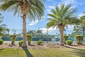 Tennis court with tennis rackets & balls included with the rental