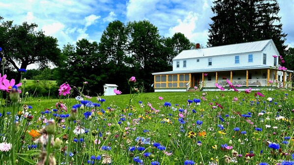 WILDFLOWERS AT FRENCH WOODS FARMHOUSE