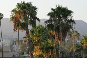 Hollywood Sign Views