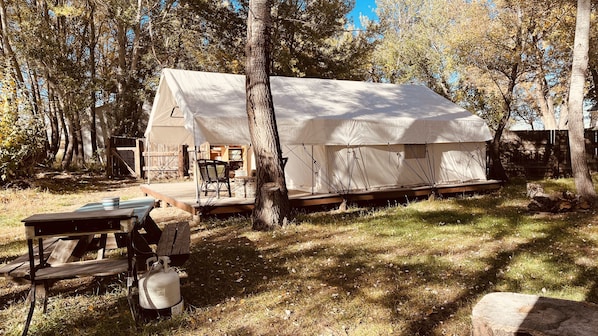 Campsite changing into Fall season.