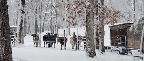 Overnatningsstedets område