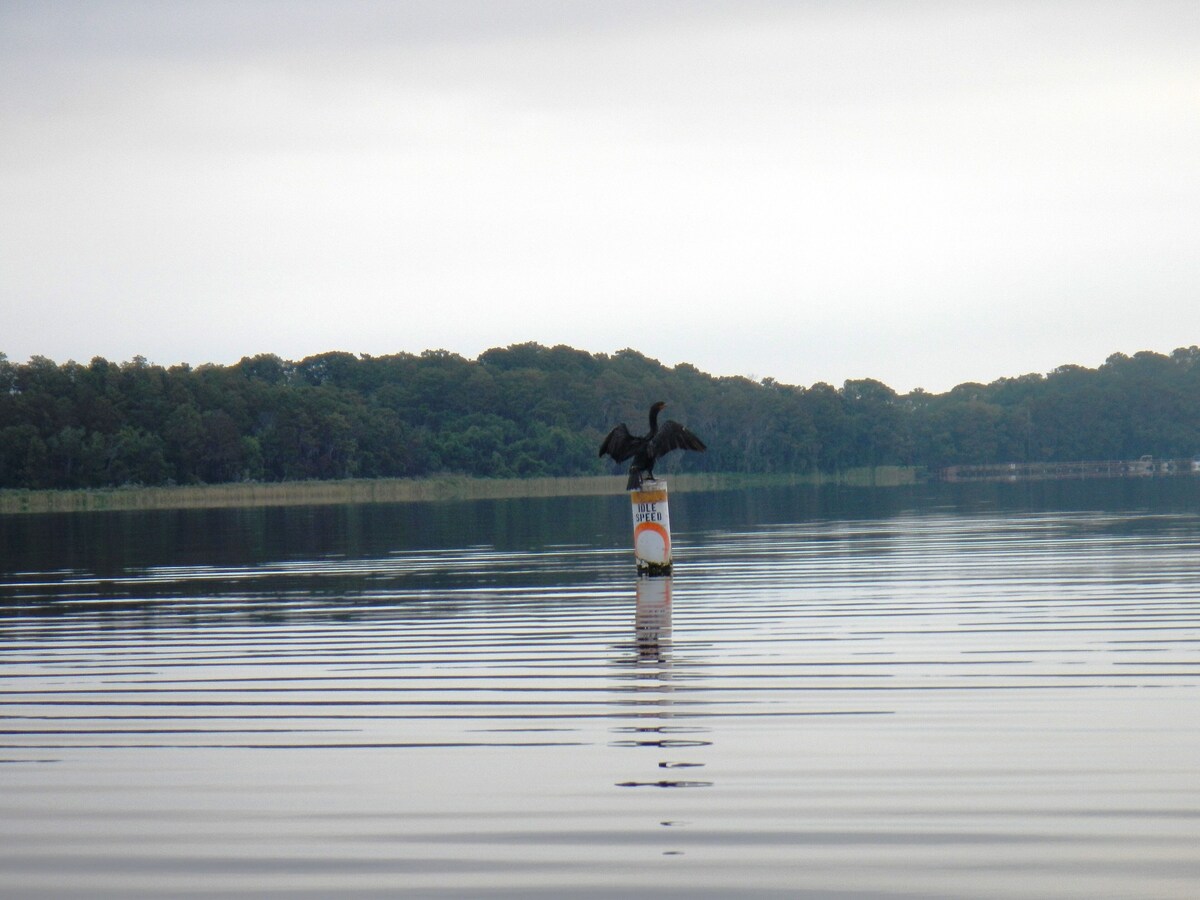 A Little Slice of Key West on Lake Tarpon – Kayak and fish from the back yard