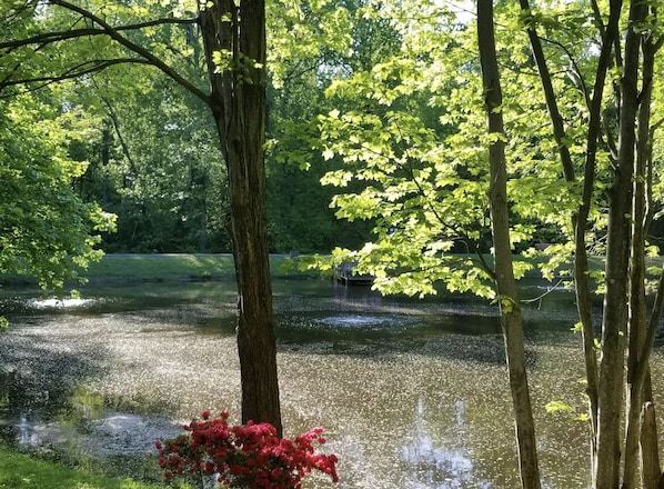 Overnatningsstedets område