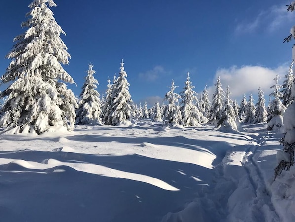 Skidåkning och snöaktiviteter