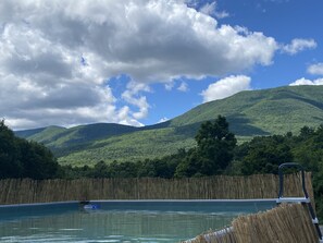 View from the pool