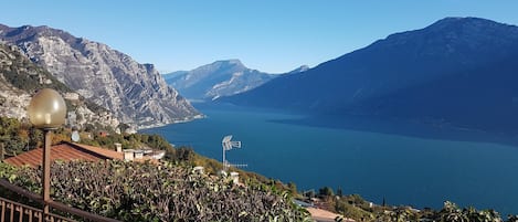 Vista da propriedade