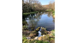 Fresh water lakes on the property to explore or swim in