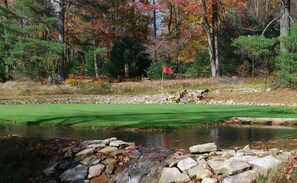 Golf green #7