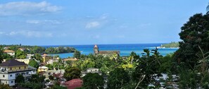 Beach/ocean view