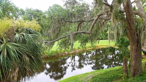 View from Patio