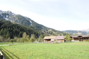 Aussicht vom Ferienhaus [Sommer]