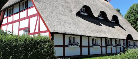 Außenseite Ferienhaus [Sommer]