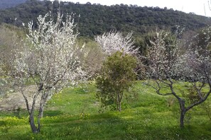 View from Holiday Home [summer]