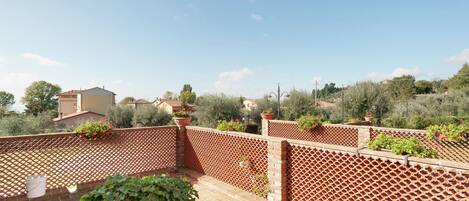 Patio / Balcony