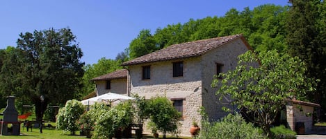 Außenseite Ferienhaus [Sommer]