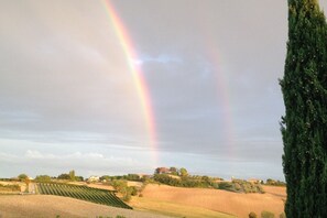 View from Holiday Home [summer]