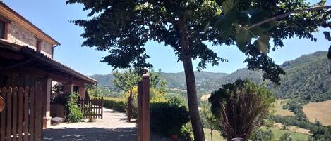 Terrasse / Balcon