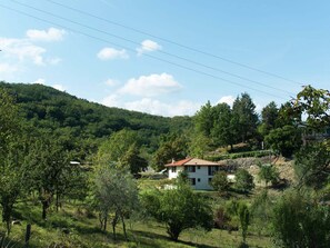 Außenseite Ferienhaus [Sommer]