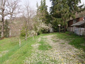 Garden [summer]