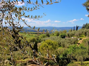 View from Holiday Home [summer]