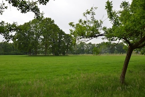 Aussicht vom Ferienhaus [Sommer]