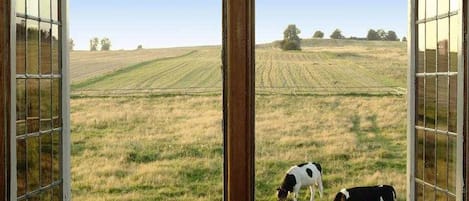 Vista da propriedade