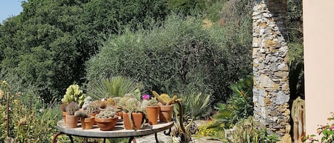 Terrasse / Balcon