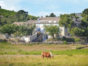 Holiday Home Exterior [summer]