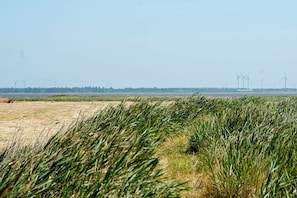 Vue sur l'eau