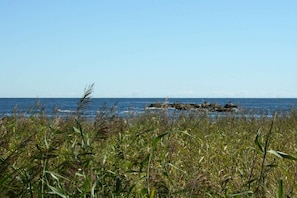 Vue sur l'eau
