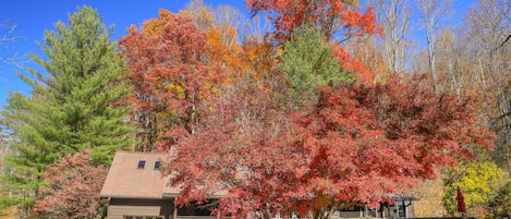 Fall colors adorn our beautiful cabin!!!
