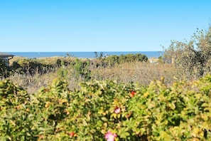 Vue sur l'eau