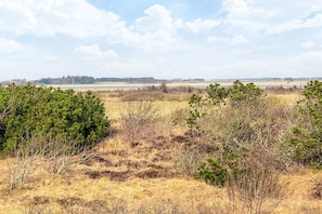 Vue sur l'eau