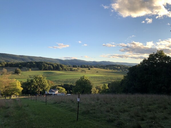 Boendeområde