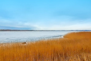 Vue sur l'eau