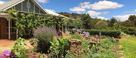 The front of the home features lush grapevines and a colourful cottage garden.
