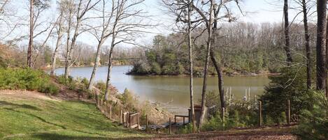 View from the backyard